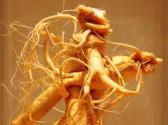 Herbal Remedies For Erectile Dysfunction